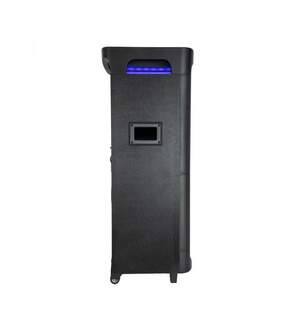 ALTAVOZ PHOENIX BIGBOSS XL 300W 2 MICROS 10%%%quot;