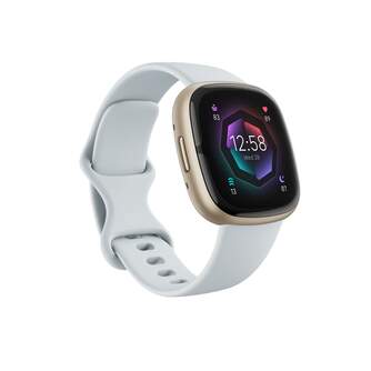 SMARTWATCH FITBIT SENSE 2 FB521GLBM BLUE MIST/SOFT
