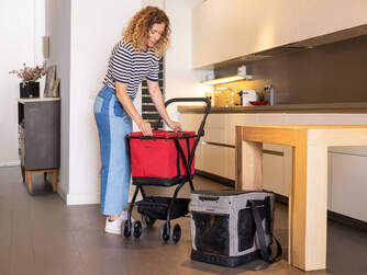 CARRO-COMPRA CARLETT CUBE S RUBY