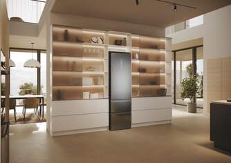 FRICOM. HAIER HTW5620CNMG 205x60 NF INOX 3D 3P