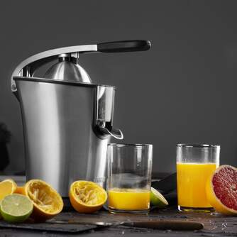 EXPRIM. PRINCESS 201851 INOX 160W BRAZO V/D