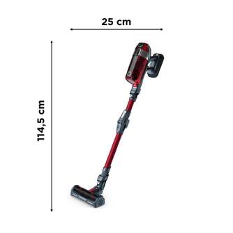 ASPI. ESCOBA ROWENTA RH9829WO XFOR11.5 FLEX ANIMAL