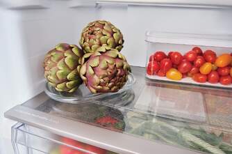 FRICOM. CANDY CNCQ2T620AX 205x60 NF INOX