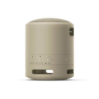 ALTAVOZ SONY SRSXB13C.CE7 BLUETOOTH GRIS