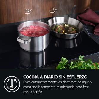 ENCIM. AEG TI63IQ30FZ 3F INDUCCION