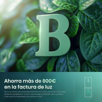 FRICOM. HISENSE RB440N4CCB 202x60x58 NF INOX