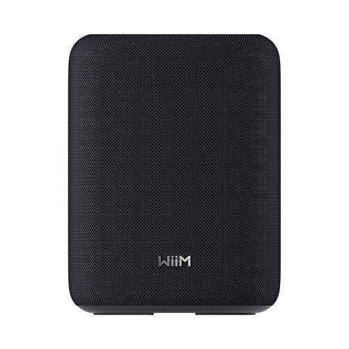ALTAVOZ WIIM SOUND LITE BLUETOOTH 100W NEGRO - Bluetooth 5.3, Wi&acute;fi, 100 W, port&aacute;til