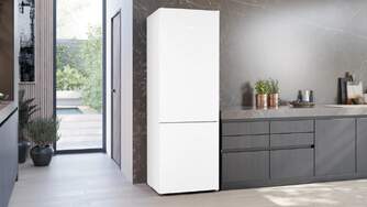 FRICOM. SIEMENS KG49NVWDG 203x70 NF BCO