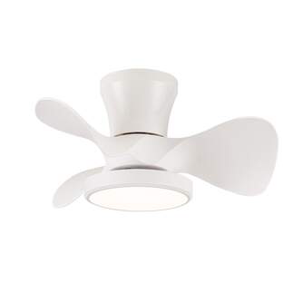 VENTILADOR TECHO CRISTAL MOLL 20W MD