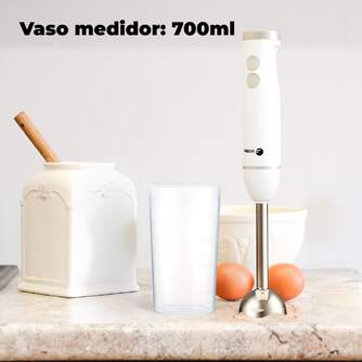 BATID. FAGOR  DIVAMIX WISH 1000W 700ML