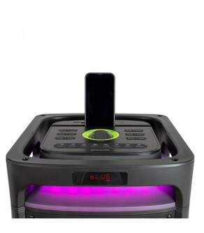 ALTAVOZ PHOENIX BIGBOSS XL 300W 2 MICROS 10%%%quot;