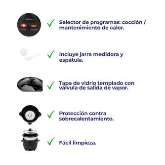 ARROCERA JATA JEAR2510 400W 1L