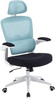 SILLA DE OFICINA WOXTER ERGO BLUE  