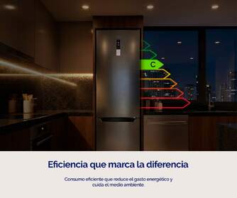 FRICOM. ARTICA COOLTECH186CI 186X60 NF DSP INOX