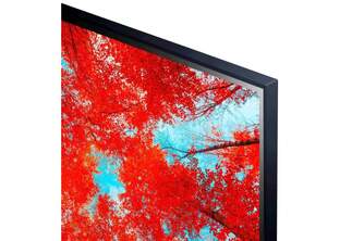 TV LG 55%%%quot; 55UQ91006LA UHD STV ALFA5 WEB22 MAGICREM
