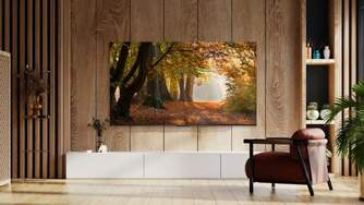 TV TCL 55%%%quot; 55P61B UHD GOOGLETV HDR10 ALLM