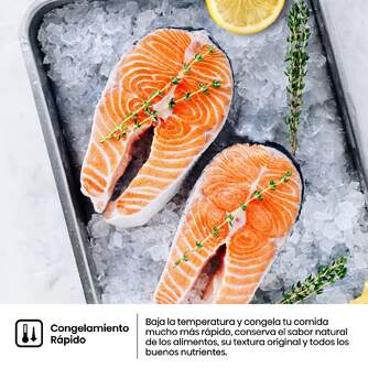 FRICOM. HISENSE RB440N4ACA 202x60x58 NF INOX