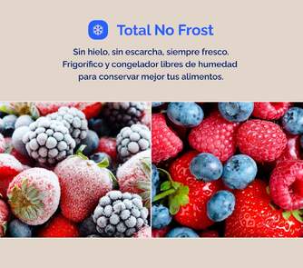 FRI. ARTICA AFEA17783F474I 177X84 4P NF INOX DSP