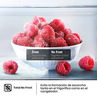 FRICOM. HISENSE RB440N4ACD 200x60 INOX DSP