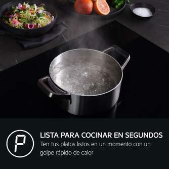 ENCIM. AEG TI63IQ10IB 3F INDUCCI%%%#211;N SENSEBOIL