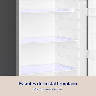 FRI. ARTICA AFE2P16655L248I 166x55 2P CICLICO INOX