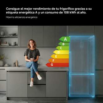 FRICOM. SAMSUNG RB38C776ASR/EF 203x60 DSP INOX