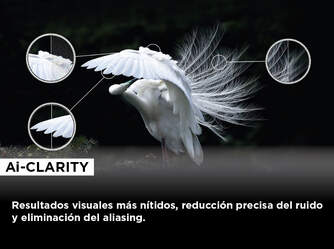 TV TCL 55%%%quot; 55C745 UHD QLED FULLARRAY GOOGLETV 144H