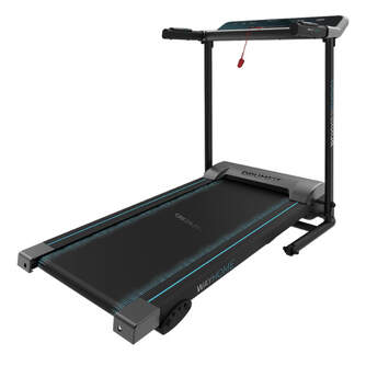 CINTA RUNNING CECOCTEC WAYHOME 1000 RUNNER SPRINT