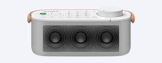 ALTAVOZ SONY SRSLSR200 MANDOTV BASECARGA