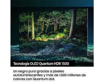 TV SAMSUNG 55%%%quot; QE55S95BATXXC QDOLED UHD STV