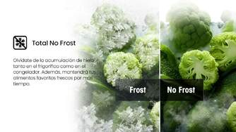 CONG.VER HISENSE FT3K310SAIE 186x60 INOX NF KFIT