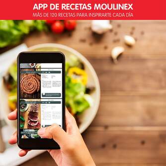 FREIDORA AIRE MOULINEX EZ505D 4,2L  REG.PICADORA