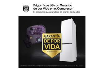 FRICOM. LG GBBS322ASW 203x60 NF BCO