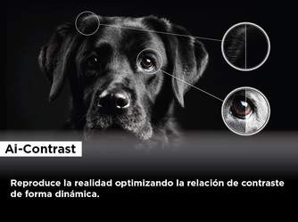 TV TCL 75%%%quot; 75C845 UHD MINILED QLED GOOGLETV 144HZ