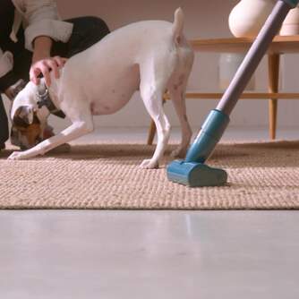 ASPI. ESCOBA TAURUS HOMELAND DIG.ANIMAL FLEX 29,4V