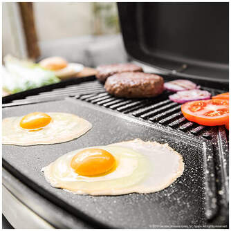 BARBACOA CECOTEC PERFECT COUNTRY 2000W C/PAT 3061