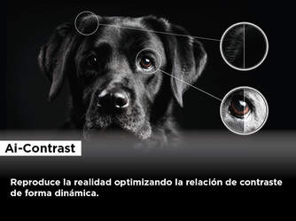 TV TCL 50%%%quot; 50C649 UHD QLED GOOGLETV GAME MASTER