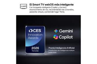 TV LG 55%%%quot; 55G64LW UHD OLED EVO A11 165HZ WEBOS26