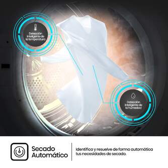 SECADORA HISENSE DHQE800BW2 8K DSP BCA