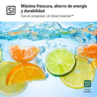 FRICOM. LG GBV5240DPY 203x60 NF INOX METALFRESH