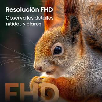 TV HISENSE 32%%%quot; 32A5S FHD QLED SMART TV DOLBY ATMOS