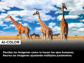 TV TCL 50%%%quot; 50C649 UHD QLED GOOGLETV GAME MASTER