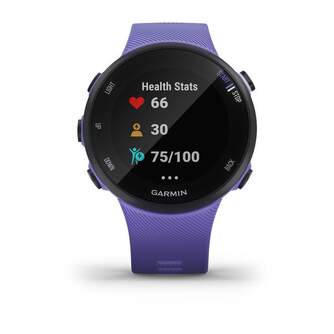 SMARTWATCH GARMIN FORERUNNER 45S IRIS 010-02156-11