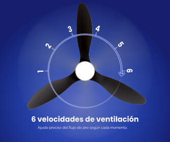 292057_8 4Velocidad.jpg