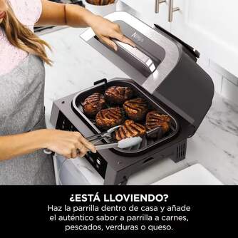 BARBACOA NINJA DG551EU 6EN1 DE INTERIOR FREID.AIRE