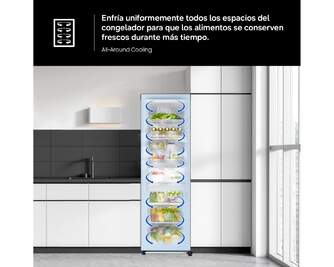 CONG.VER SAMSUNG RZ70H32HDTEF 186x60 323L INOX