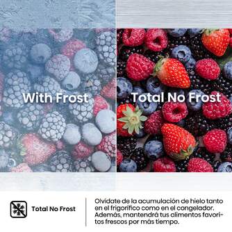 FRI. HISENSE RL3B303SAWE 1P 177x54x55 NF INT