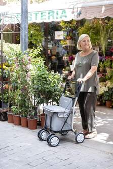 CARRO-COMPRA CARLETT COMFORT MOON GRIS