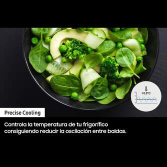 FRI. SAMSUNG RF65A967ESR 182,5x91,2 4P NF INOX