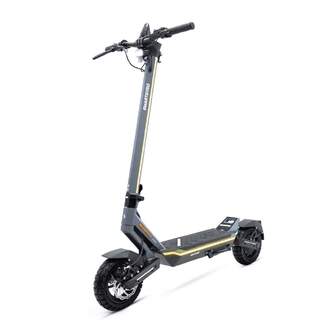 PATIN ELECTRICO SMARTGYRO RAPTOR EVO 10%%%quot; 1000W